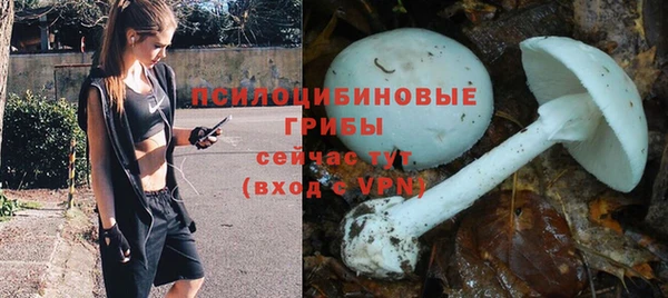 мяу мяу кристалл Горняк