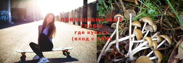 стафф Вязьма