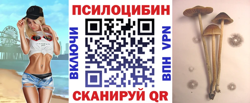 Галлюциногенные грибы прущие грибы  Минеральные Воды 