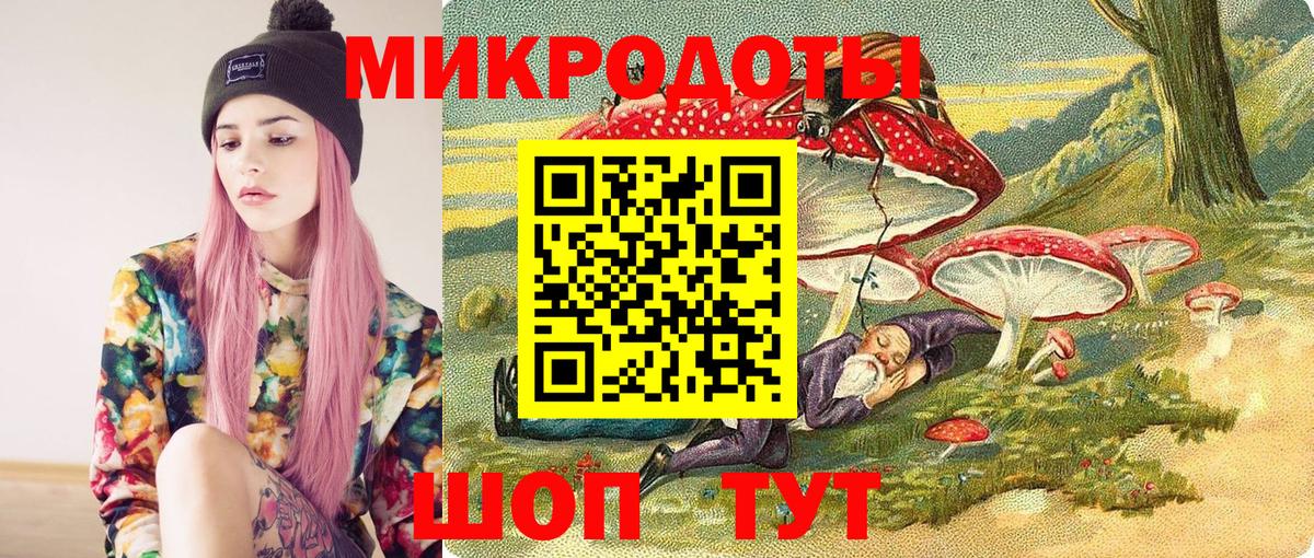 Псилоцибиновые грибы Psilocybine cubensis Минеральные Воды