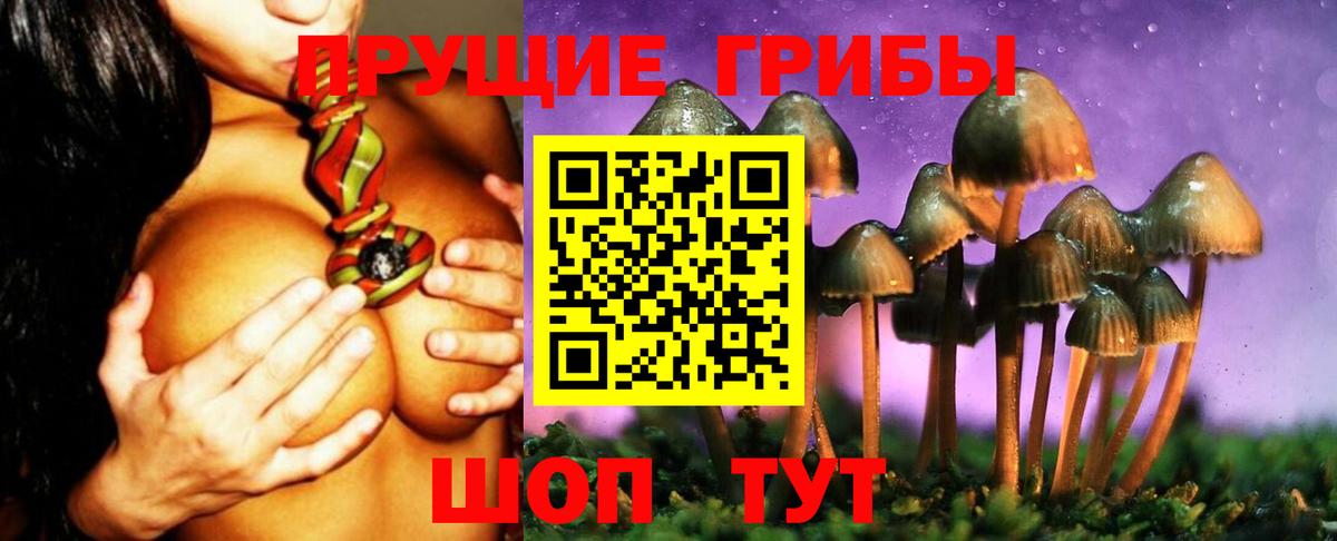 Псилоцибиновые грибы Psilocybine cubensis  Галлюциногенные грибы Cubensis  Вход с VPN  Минеральные Воды 